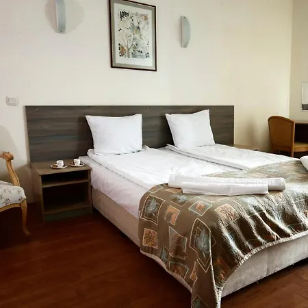 Room In Guest Room Pensiune